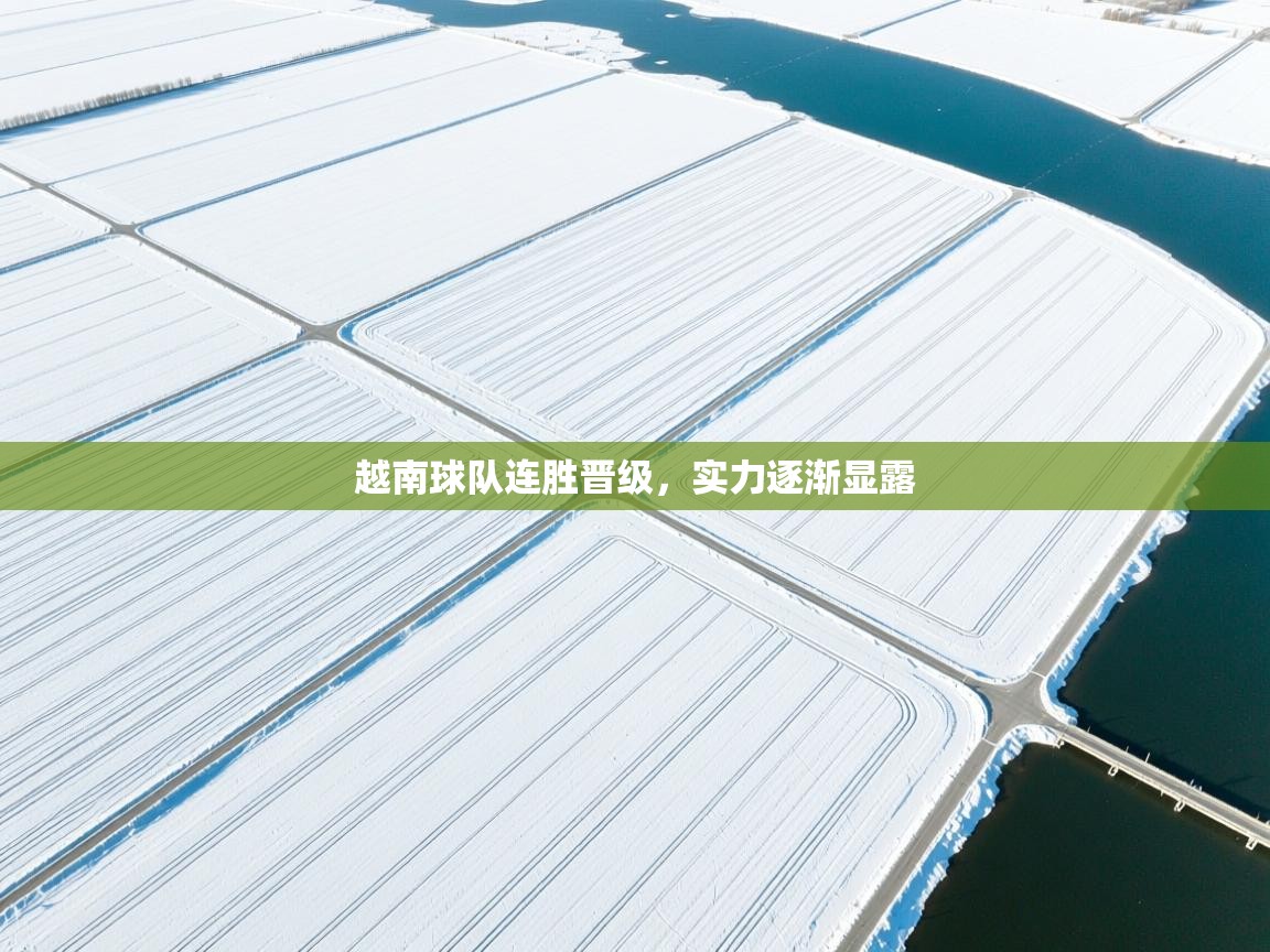 越南球队连胜晋级，实力逐渐显露