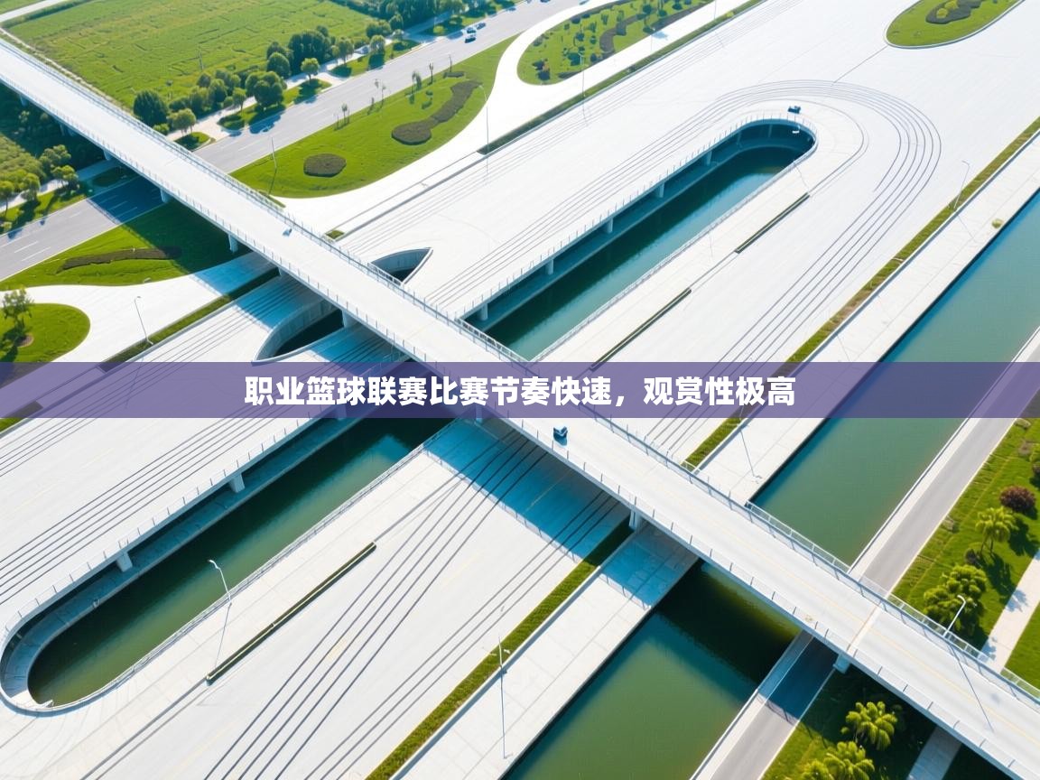 职业篮球联赛比赛节奏快速，观赏性极高