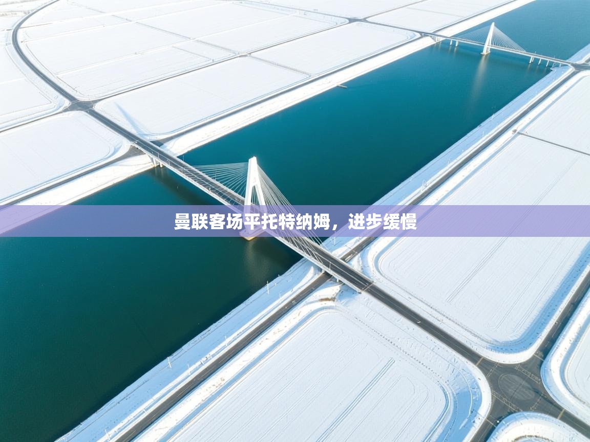 曼联客场平托特纳姆，进步缓慢